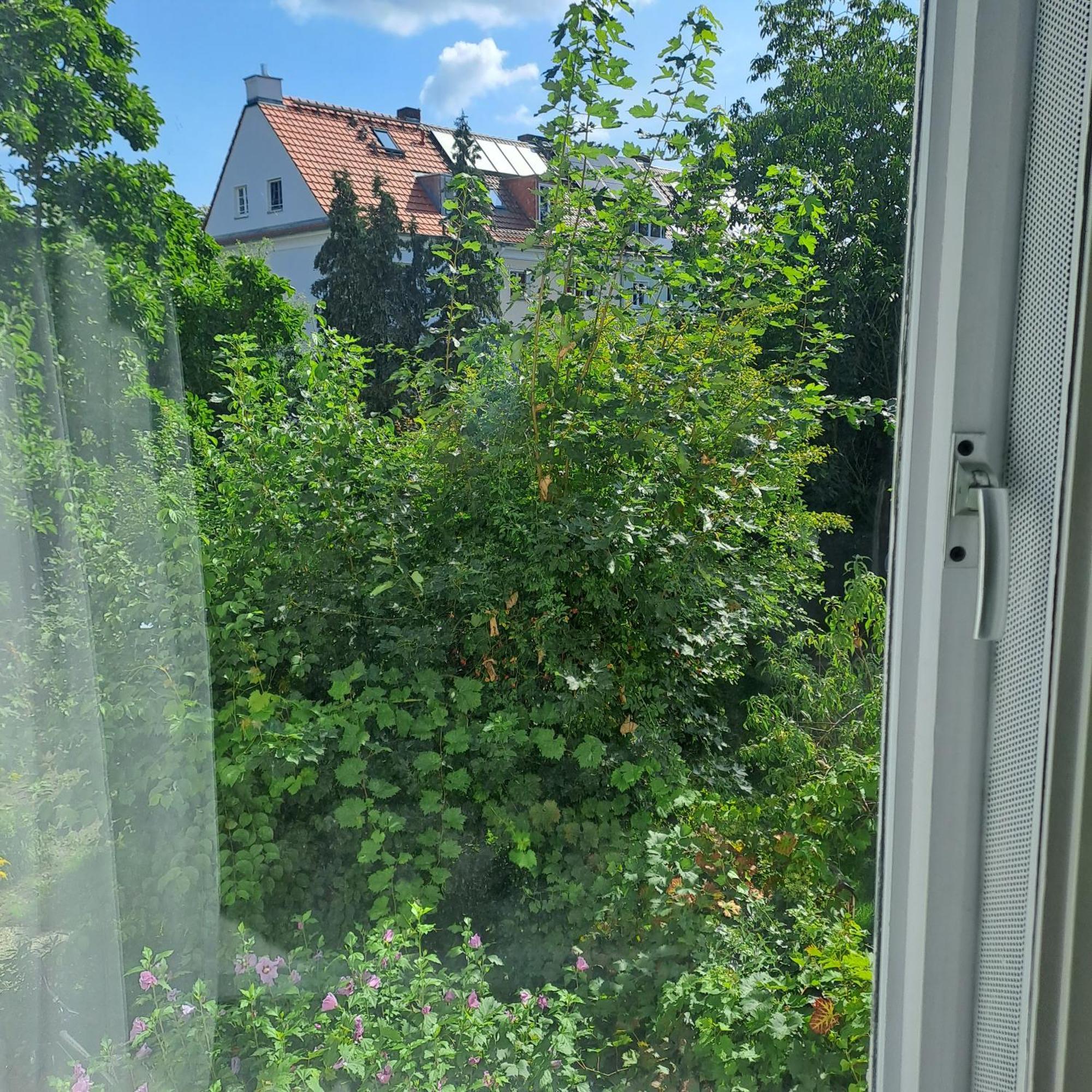 Privatunterkunft Spacious In Tempelhof Park Area
